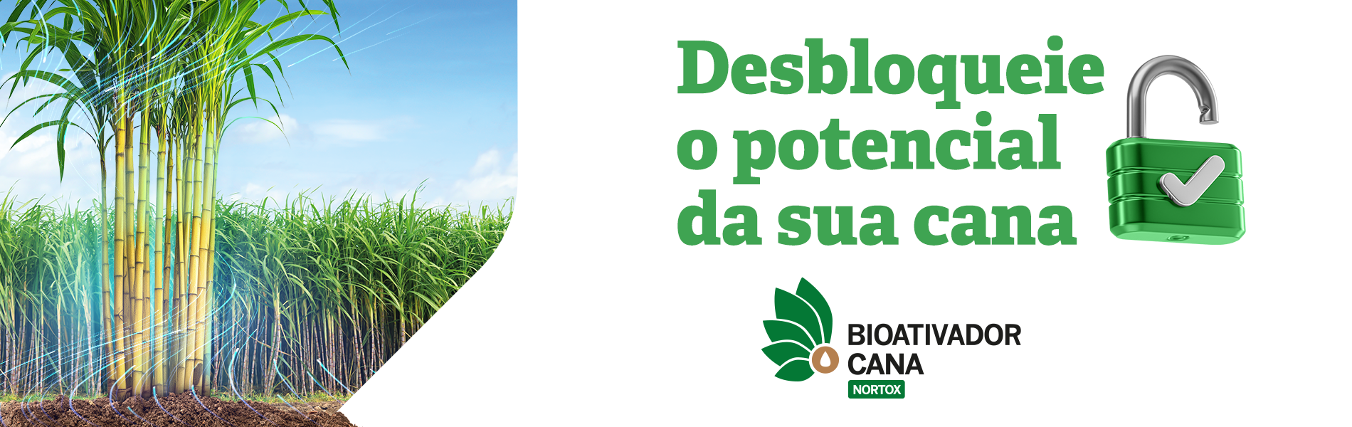 Banner_pagina_site_Bioativador_Cana_2.png