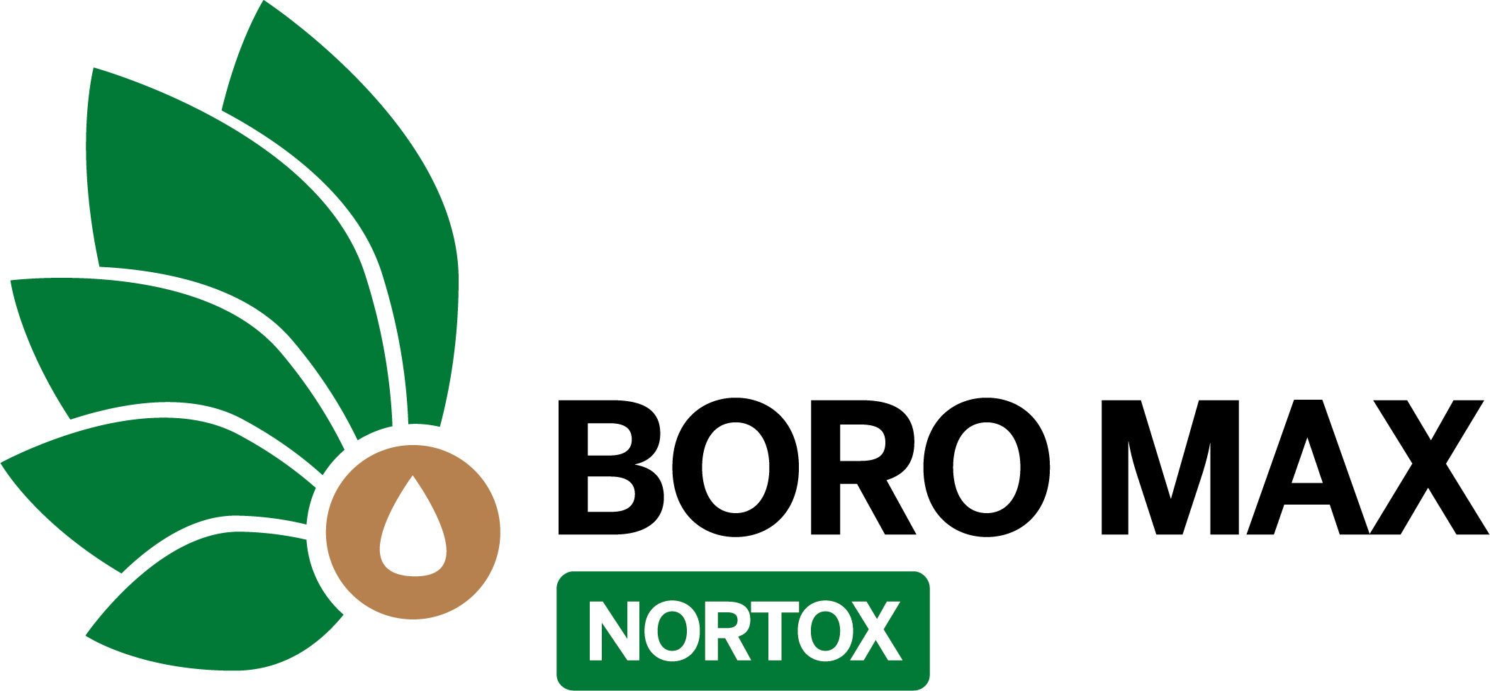 boro_max_logo.jpg