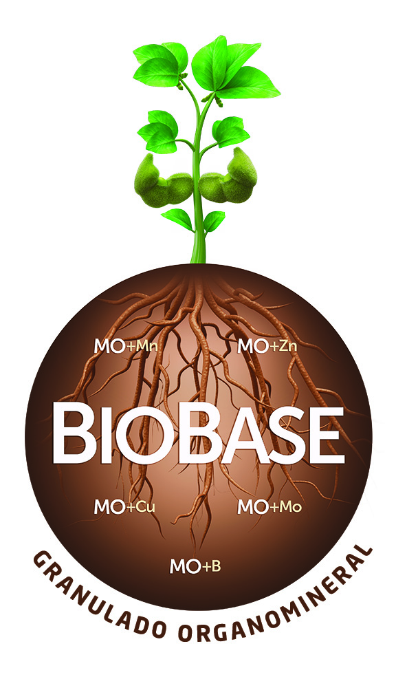 biobase_-_tudo_-_baixa.jpg