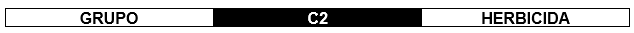 mceclip0.png