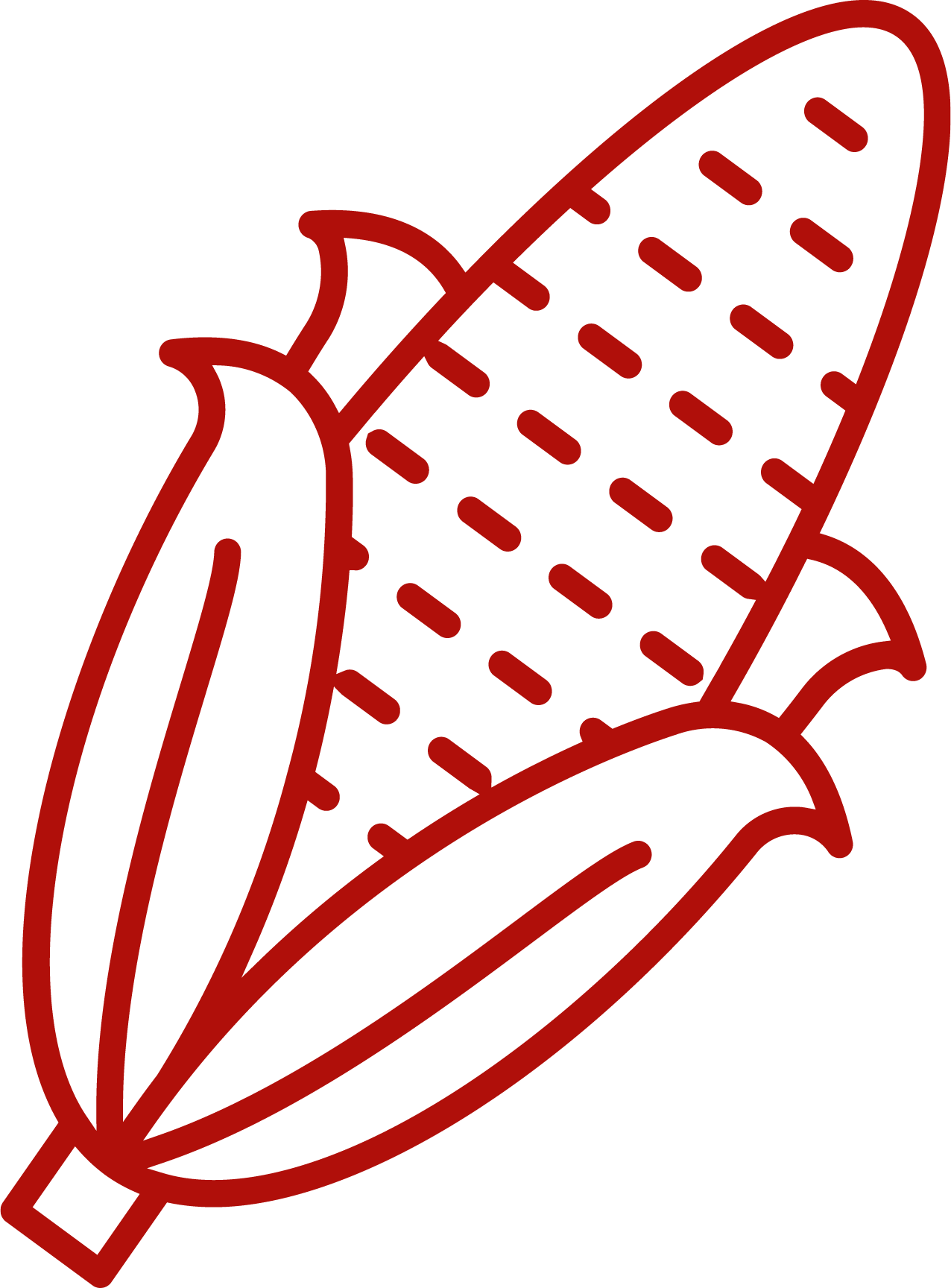 COMPRIMENTO DA ESPIGA.png